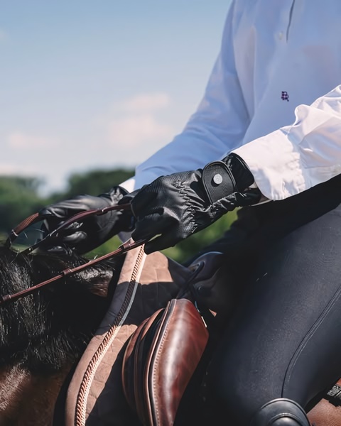 riding gloves, equestrian gloves, leather riding gloves, horse riding gear, sport gloves, product demo, lifestyle, luxurious, calm, neutral, brown, black